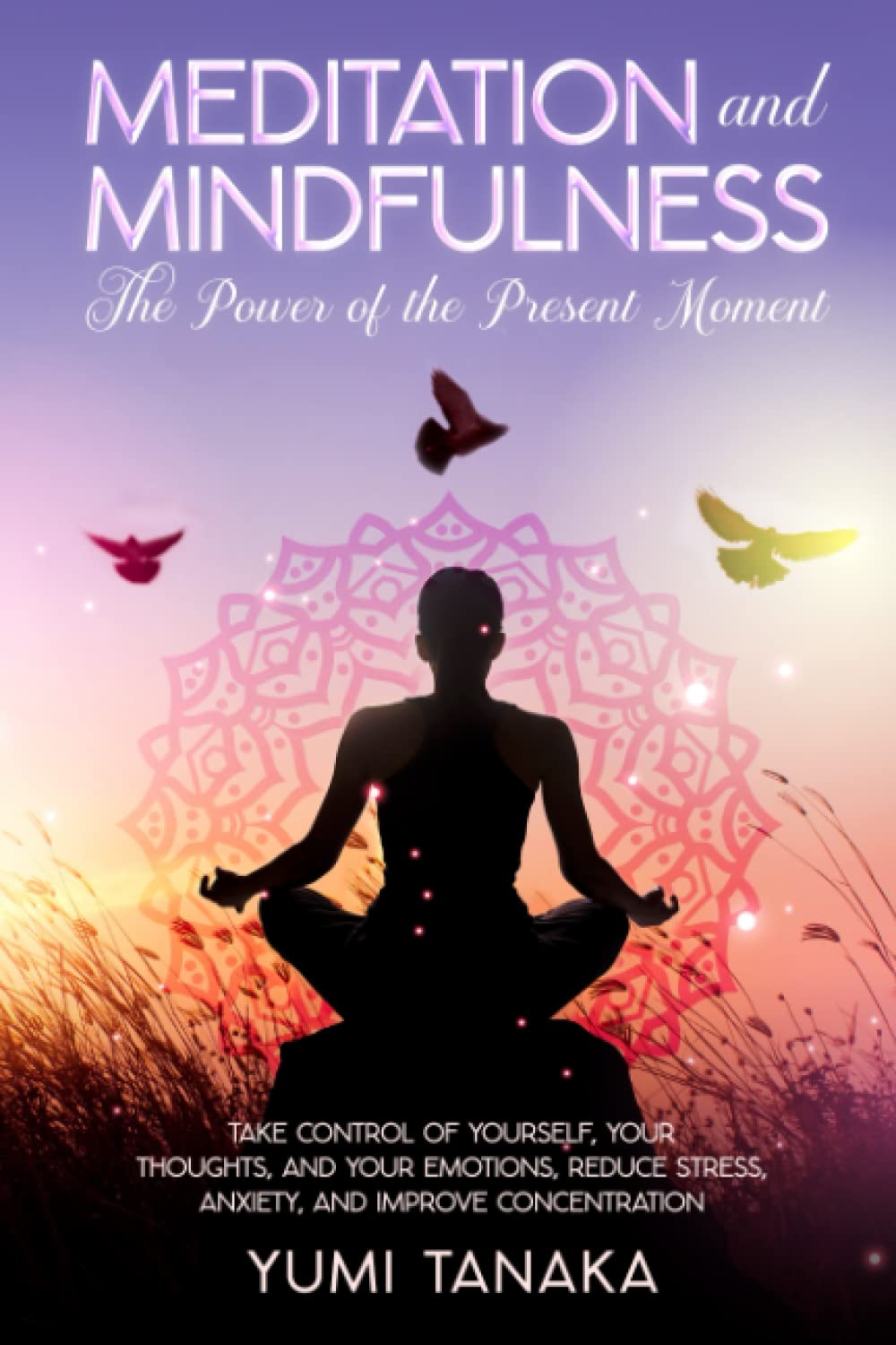 MEDITATION AND MINDFULNESS: The Power Of The Present Moment: Take Control of Yourself, Your Thoughts and Emotions, Reduce Stress, Anxiety and Improve Concentration