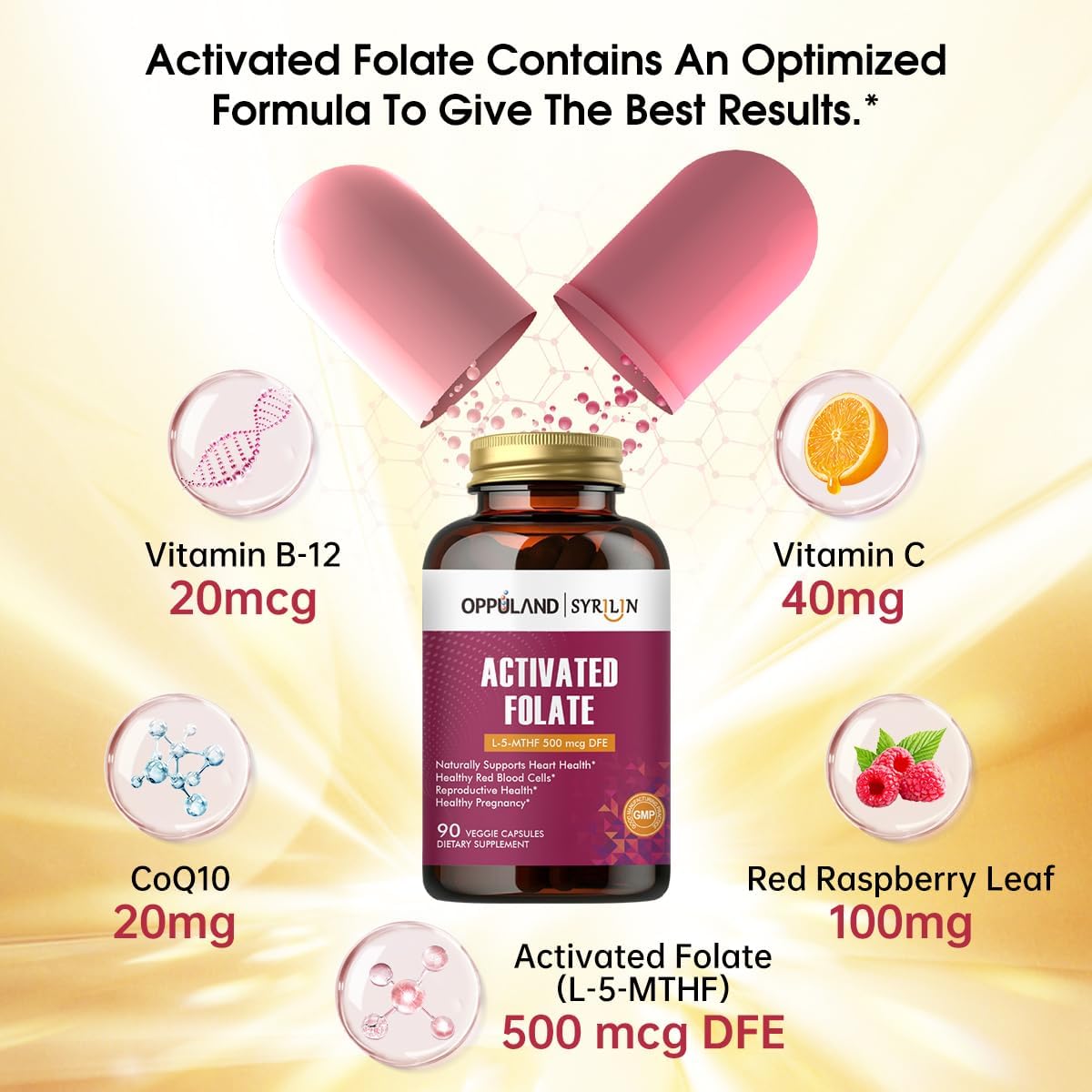 Activated Folate-L 5-MTHF DFE Supplement - Methylfolate B9 MTHF with Vitamin B12, CoQ10, & Red Raspberry - Methylated L-Methylfolate for Men and Women - 500 mcg - 90 Veggie Capsules