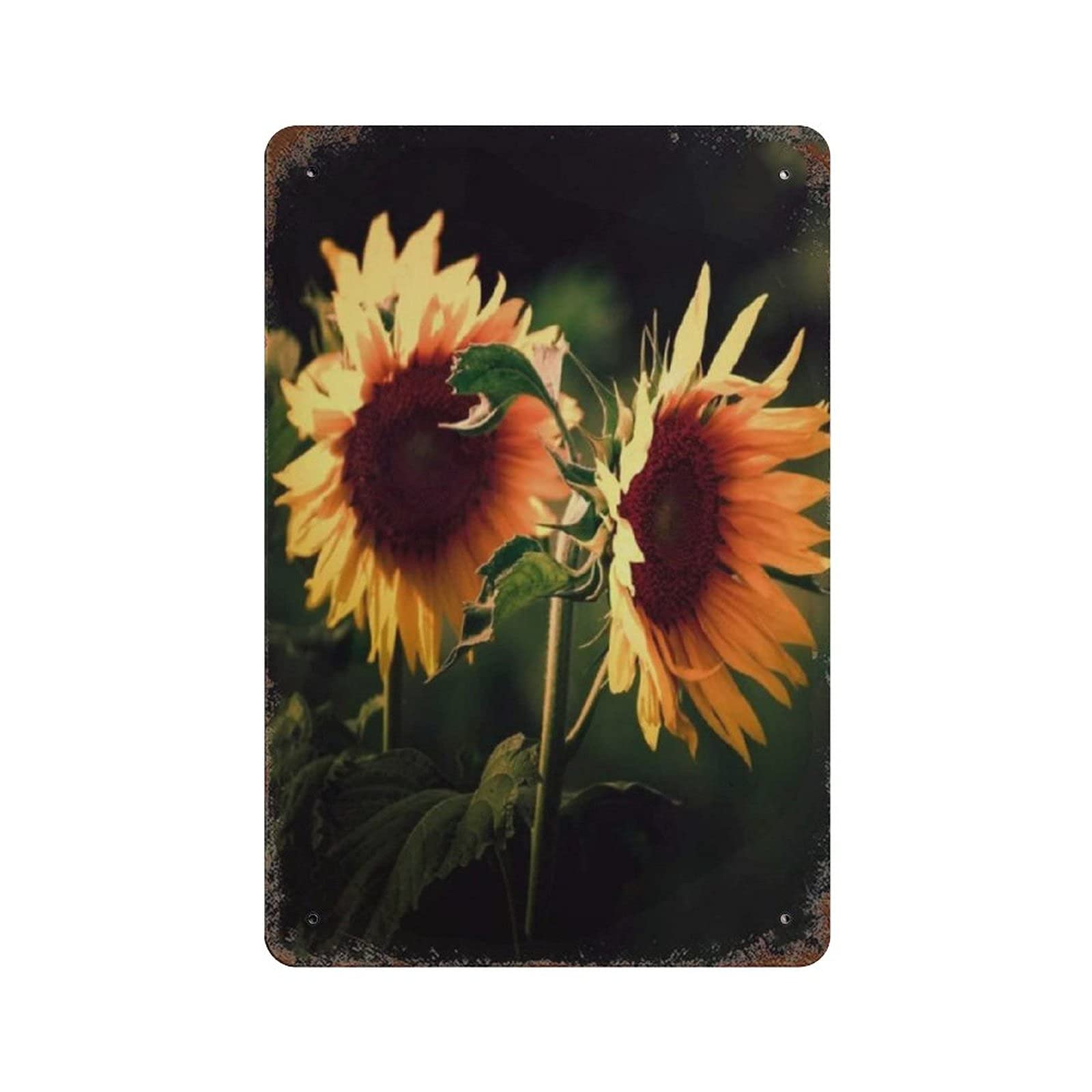Metal Tin Sign Sunflower Photography Vintage Tin Poster Metal Sign Wall Decoration Country Kitchen Home Garage Decor 12"x8"