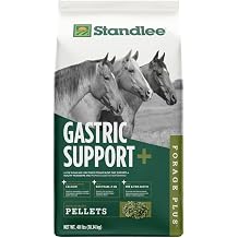 Standlee Gastric Support+ for Horses, Pellets, Digestive Supplement for Horses, 40 lbs
