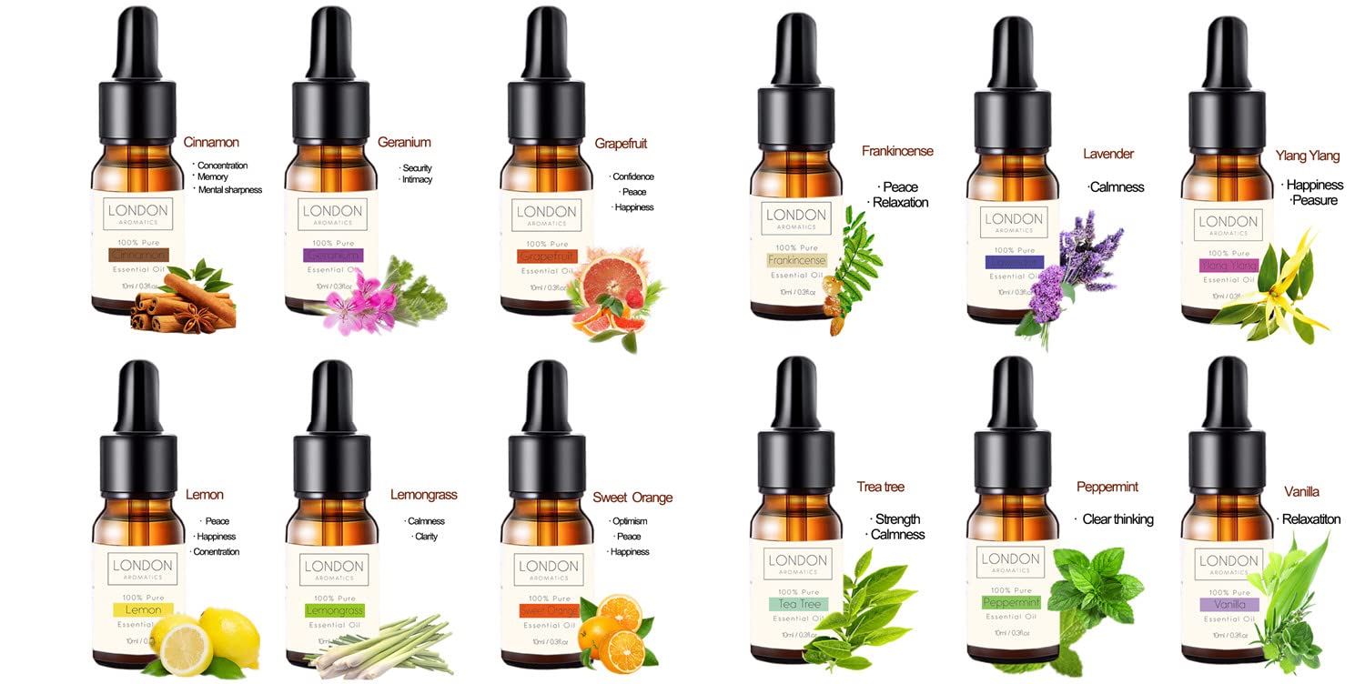 Spa Essential Dozen 10ml Glass Dropper Bottles Cinnamon Geranium Grapefruit Lemon Lemongrass Sweet Orange Frankincense Lavender Peppermint Tea Tree Vanilla and Ylang-Ylang