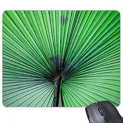 ʐ^̐VNȗt̉摜̐ mXbvSpbh̃Q[}EXpbhv[g