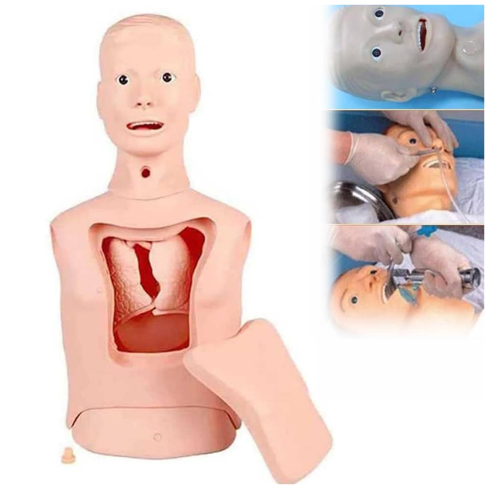 Mannequin De Formation Médicale Multifonctionnel pour La Pratique De L'intubation Nasogastrique et De La Trachéotomie, Idéal pour La Formation Infirmière et Médicale