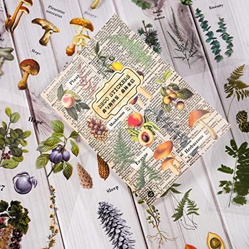 20 Sheets (140PCS) PET Transparent Stickers Book,Vintage Forest Plant Scrapbooking Stickers,Aesthetic Waterproof Stickers Scrapbooking Supplies, for Journaling Albums Planner Crafter Gifts