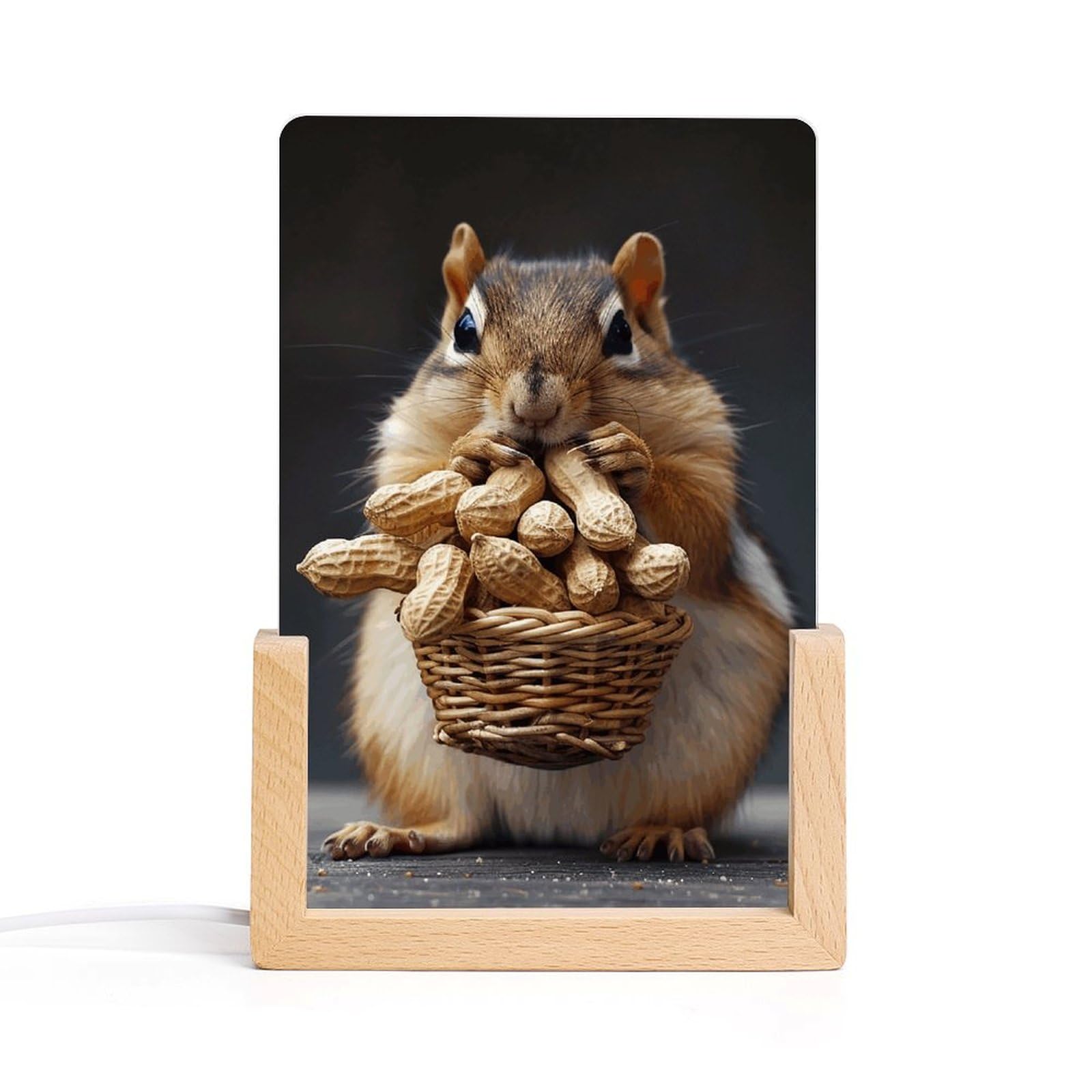 JTREHY Acrylic Night Light,Squirrel Printed Wooden Base LED Night Light Modern Home Decoration Light with USB Switch Cable for Bar Cafe Bedroom Room Decoration