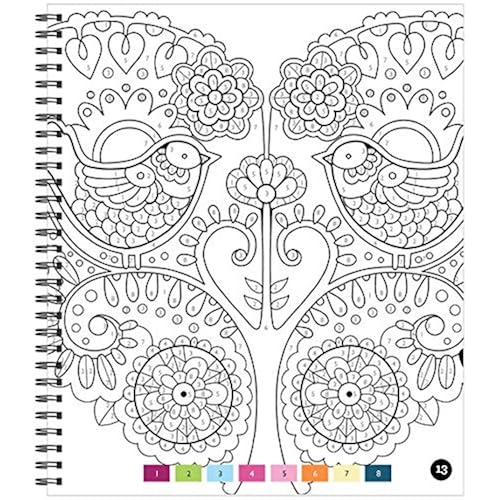 Brain Games Color By Number Birds