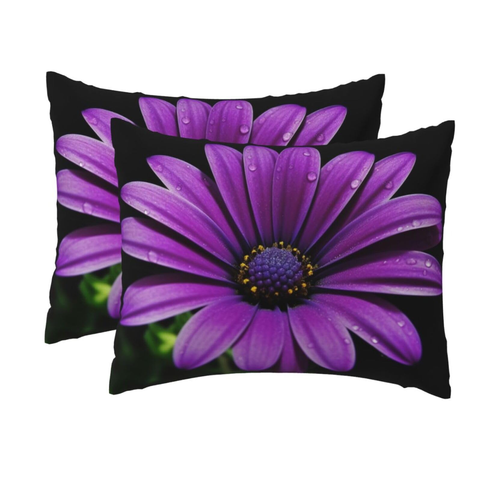 2 Pack Standard Size Pillow Cases for Hair and Skin Soft Breathable Pillow Case Covers with Hidden Zipper Purple Daisy Pillowcase 20x26 Inches Pillow Cover for Sleeping Gift