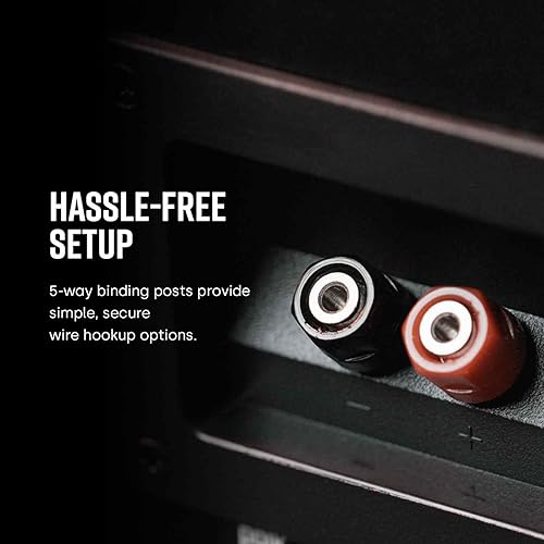 Miniatura 21 de Polk Home Theater - Bocina de torre de pie.