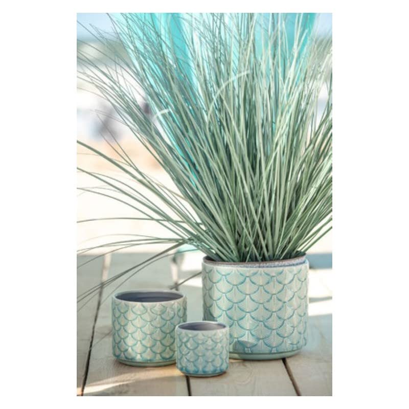 Small Ceramic Seashells Planter, Blue, One Size