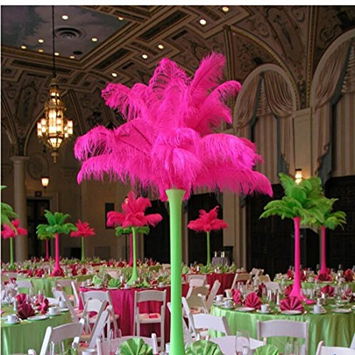 Ewanda Store 20Pcs Ostrich Feathers,10-12Inch 25-30Cm Real Natural Ostrich Feathers Diy Craft Feather For Home Party Wedding Decoration(Hot Pink) #TOP2