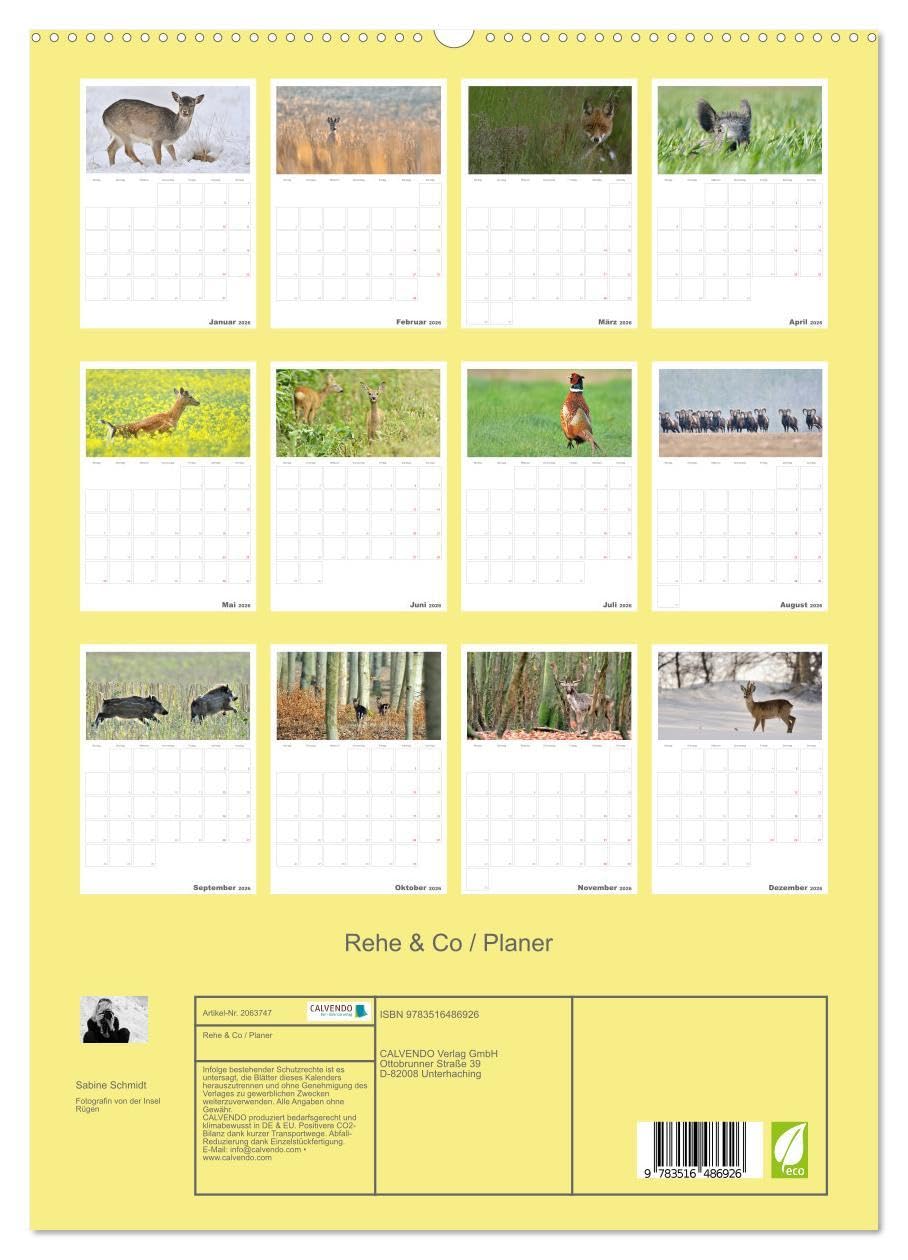 Rehe & Co/Planer (hochwertiger Premium Wandkalender 2026 DIN A2 hoch), Kunstdruck in Hochglanz: Wildlife Rügen/Deutschland (CALVENDO Tiere)