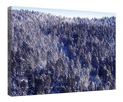 Impression sur toile encadrée en bois haut de gamme - Tableau d'art Forêt étoilée