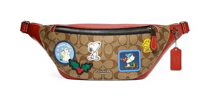 ラスト 美品 COACH ボディーバッグ チャーター クロスボディ バッグ 24・マキシ シグネチャー