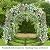 Multi-Size Large Garden Support Arch Frame Climbing Plant Arch Arbor for Flowers/Fruits/Vegetables (19.6ft x 7ft x 7.2ft)