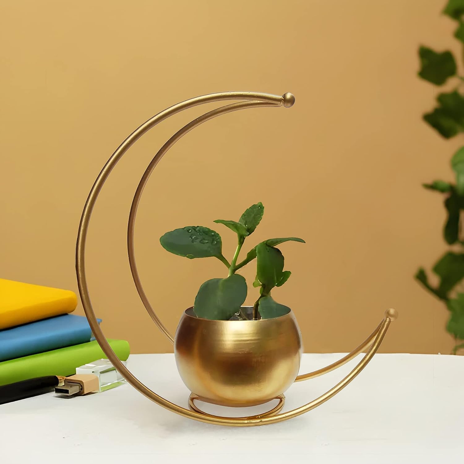 The Trend City Metal Moon Shape Golden Planter Pot 9 inches
