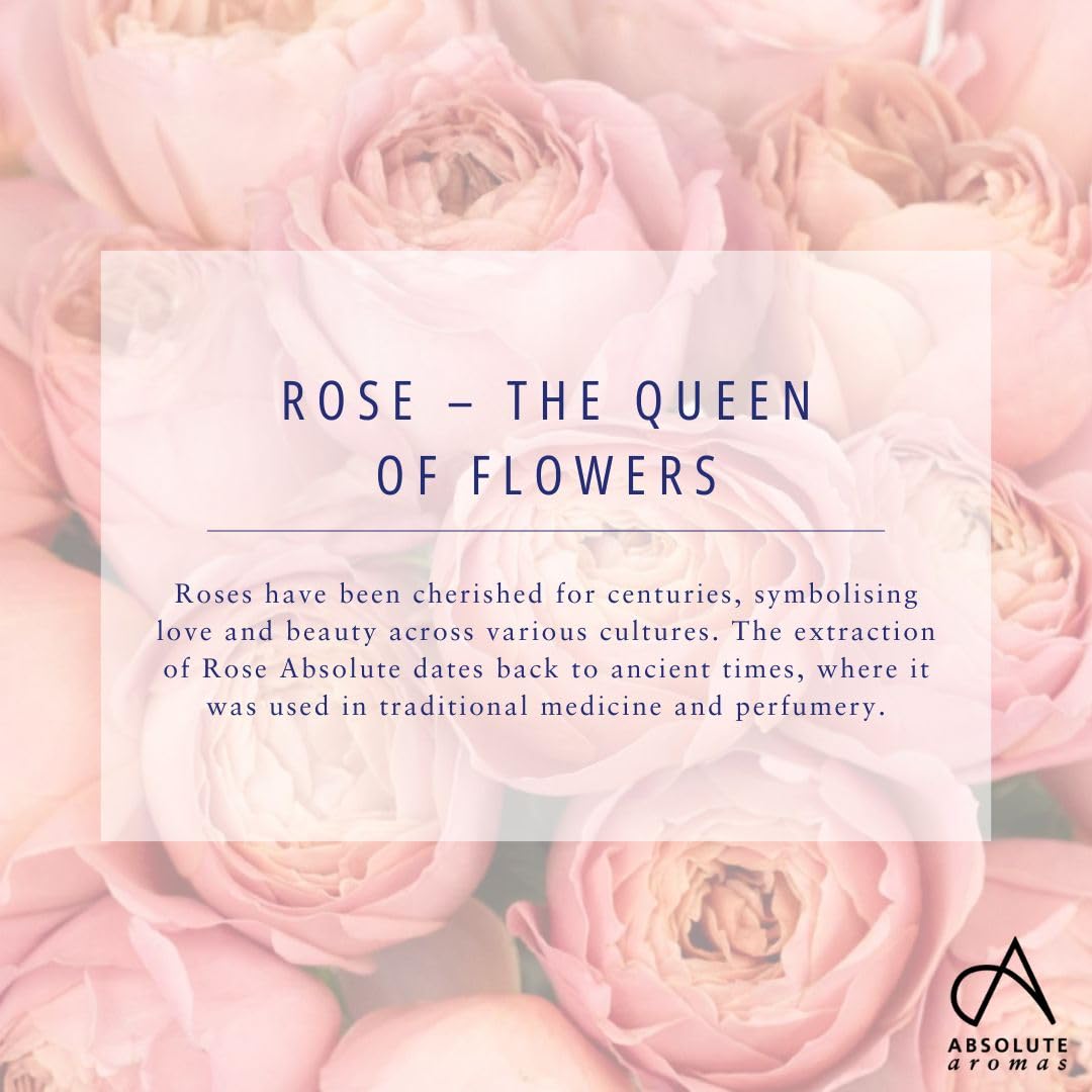 Absolute Aromas Rose Absolutes ätherisches Öl 5 ml - 100% rein, natürlich, unverdünnt, vegan und frei von Tierversuchen - zur Verwendung in Diffusoren und Aromatherapie-Mischungen