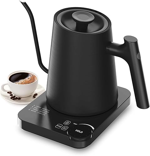 Paris Rhône Hervidor eléctrico de cuello de cisne, hervidor eléctrico con 4 ajustes preestablecidos variables, control de temperatura de 1 y