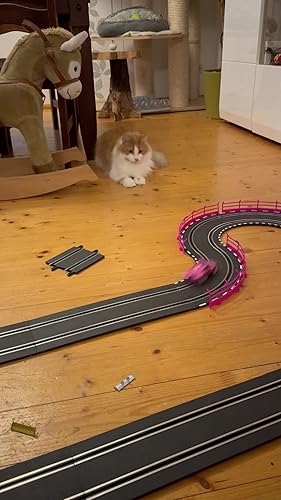 20062579 - Carrera GO!!! Pink Action Racing Track Set