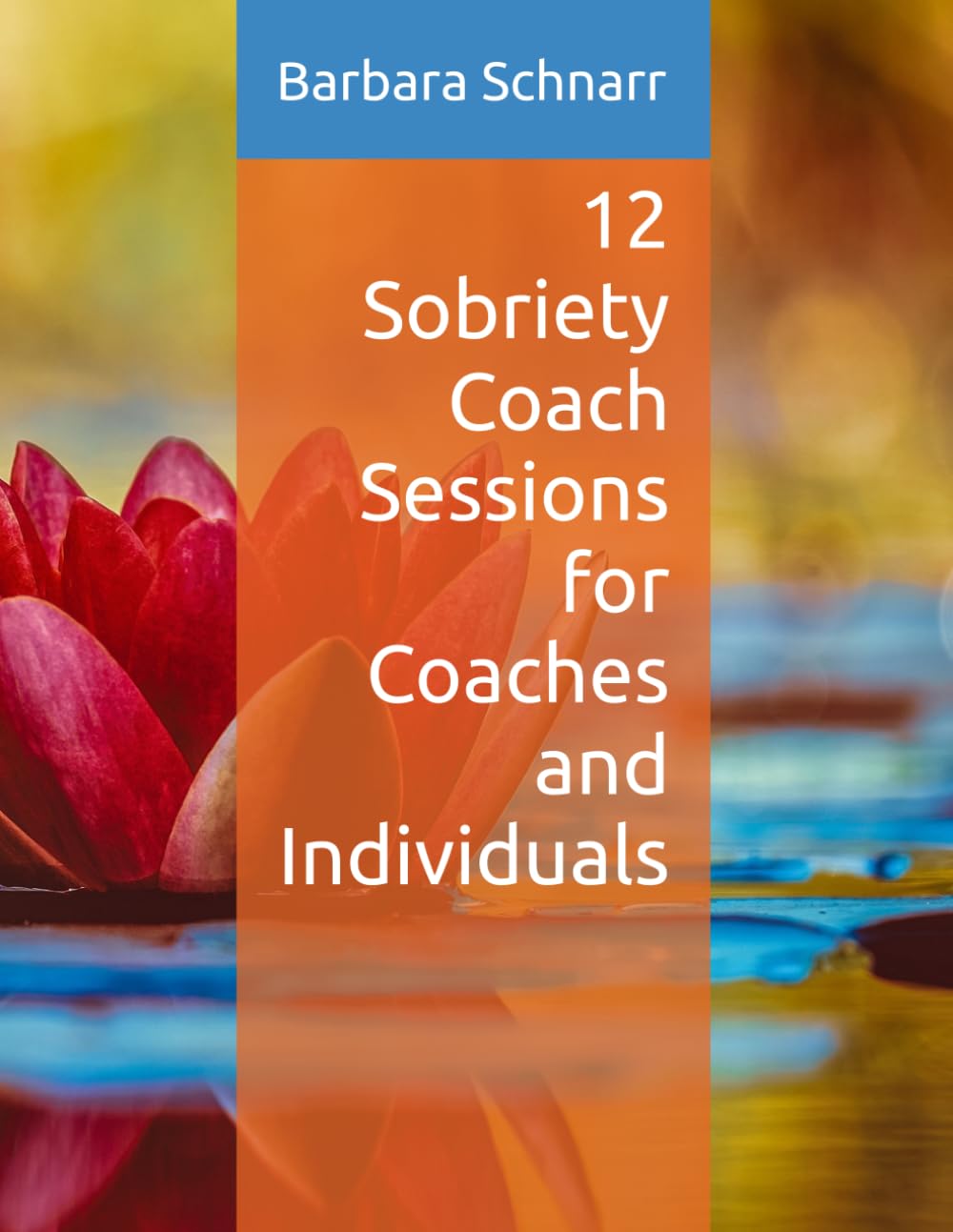 12 Sobriety Coach Sessions for Coaches and Individuals (Coaching Resources)