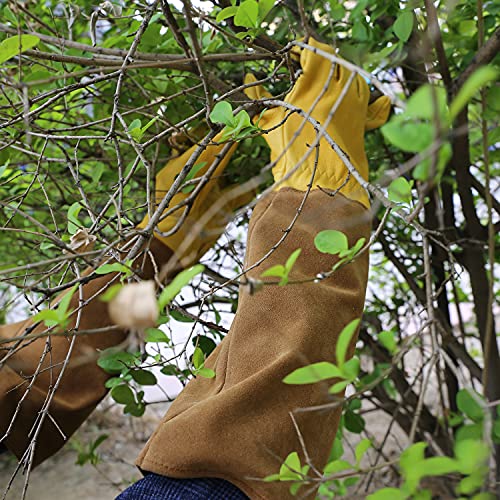 Olson Deepak Long Gardening Gloves For Women Rose Pruning Garden Glove Ladies Protective Gloves For Yard & Outdoor Work #TOP5