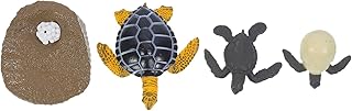 TOYANDONA 1 Conjunto De Figuras De Ciclo De Vida De Ciclo De Crescimento De Animais Modelo De Animais De Simulação Modelos De Ciclo De Vida De Tartaruga Estatueta De Tartaruga Brinquedo