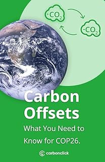 Carbon Offsets: What you need to know for COP26
