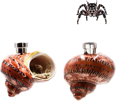Jumping Spider Enclosure Accessories, 2 Pack Conch Jumping Spider Hideout with Magnet and Moss, Jumping Spider Hide, Jumping Spider Accessories