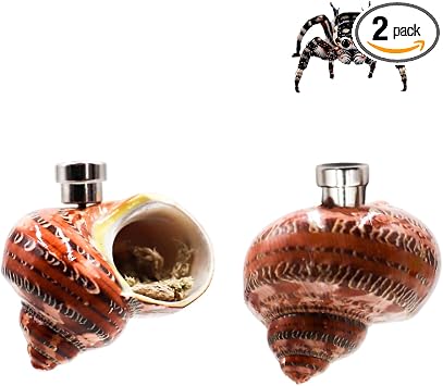 Jumping Spider Enclosure Accessories, 2 Pack Conch Jumping Spider Hideout with Magnet and Moss, Jumping Spider Hide, Jumping Spider Accessories