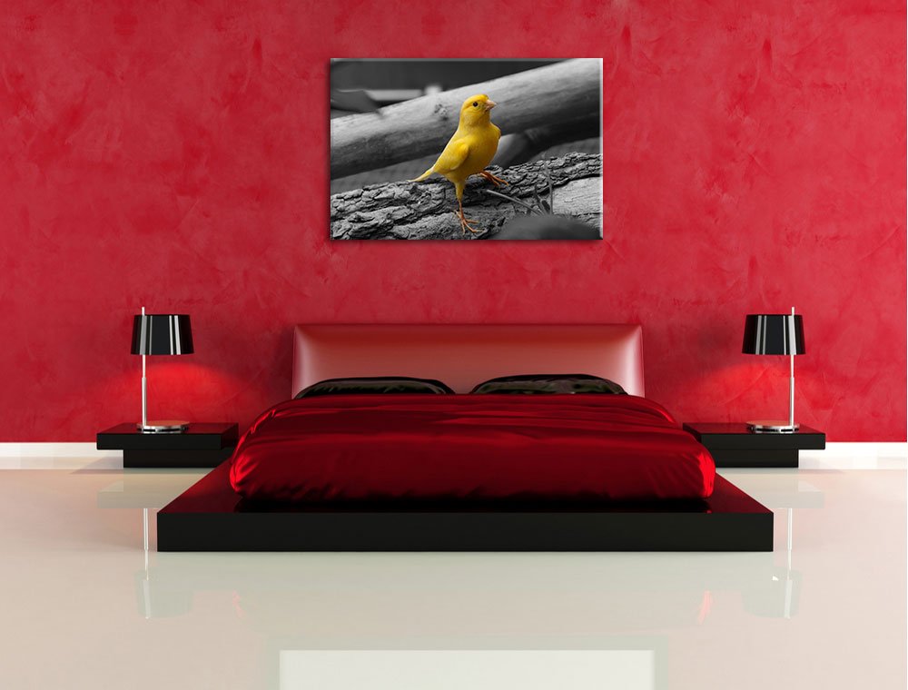 Pixxprint canarino meno vigile Stampa su tela 120x80 cm artistica murale