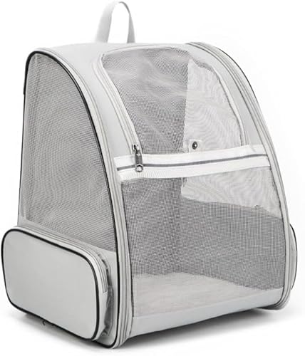 RutexcybgpobNpbNBLƌɍœKBeʁAobNpbNfUC ʋCBoAa@ւ̒ʉ@AUAsAЊQ̔ɍœKłBSn[lXƕ̎[Xy[XAyʂőϋvA^璆^̃ybgɍœKłB