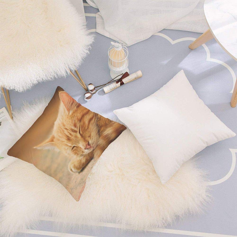 Cuscino 45x45 Con Gatto Soriano Rosso Che Dorme - Federa In Cotone E Poliestere - Personalizzabile Con Foto - 2