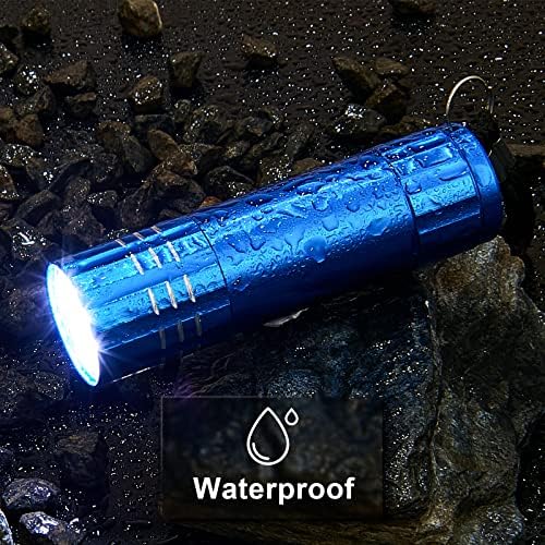 2 Pcs Mini Pocket Torch Small Handheld Torches Kids Led Flashlight 3 Inch Waterproof Pencil Torch with Lanyards for Camping Hiking Outdoor, Batteries with Insulation Card Included (Blue, Red)