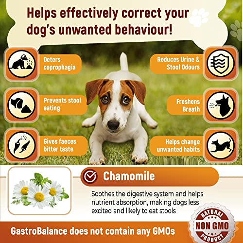 GastroBalance dog coprophagia relief, 100% natural ingredients coprophagia deterrent for dogs - Image 2