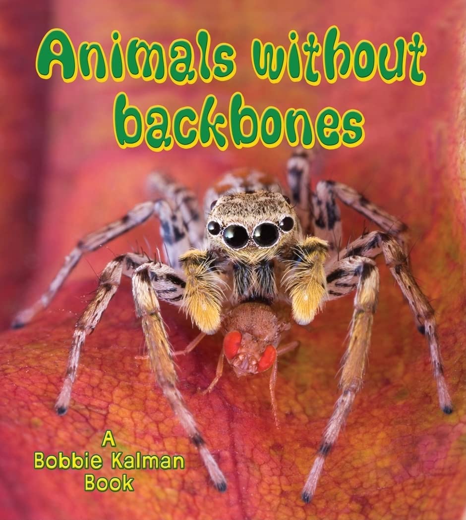 Animals Without Backbones (Big Science Ideas): Kalman, Bobbie ...