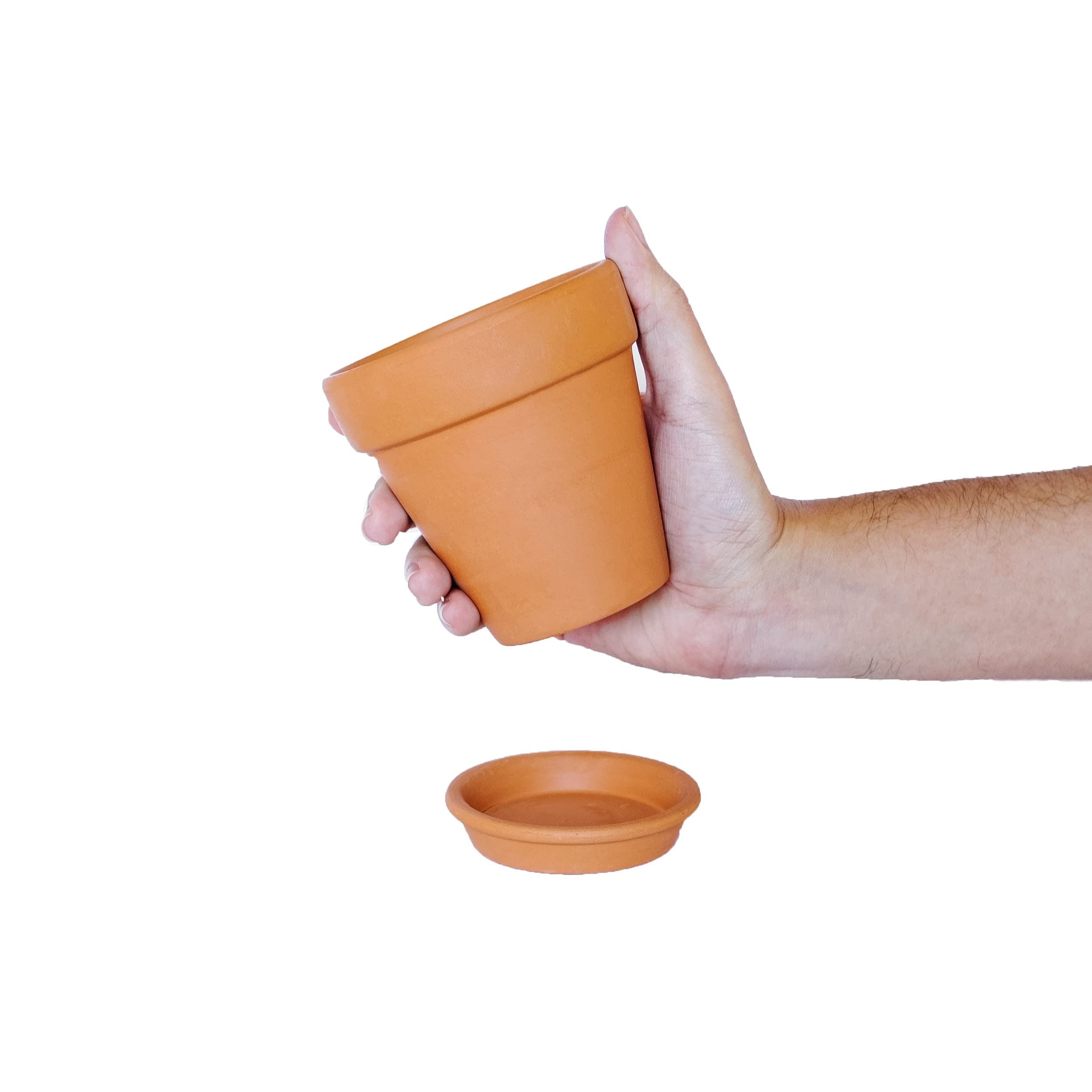 Buy Small Terracotta Pot Six Pack with Drip Trays, Drainage Holes for