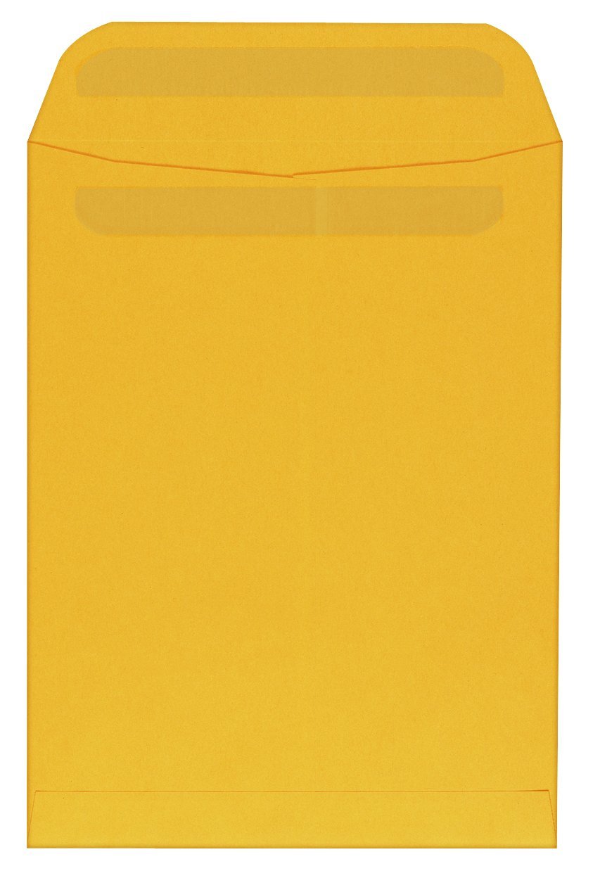 Columbian Catalog CO733 Versandtaschen, haftklebend, 22,9 x 30,5 cm, braunes Kraftpapier, 250 Stück