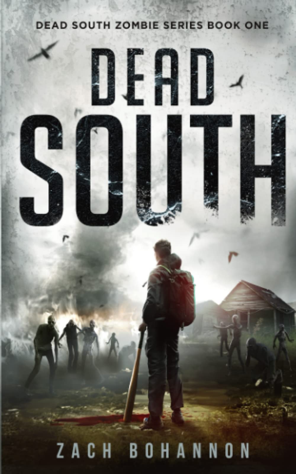 Dead South: A Post-Apocalyptic Zombie Thriller