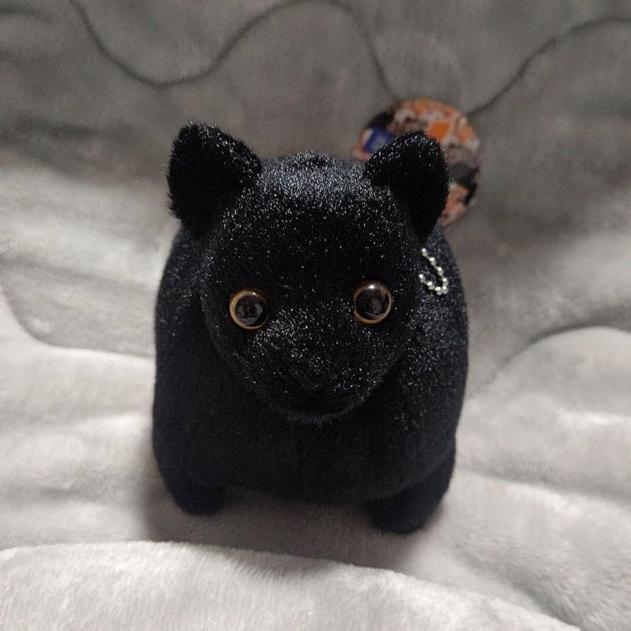 猫の顔 ぬいぐるみ 黒 黒猫 ぬいぐるみ ねこ 猫 ネコ CAT かわいい 大きな目の猫の