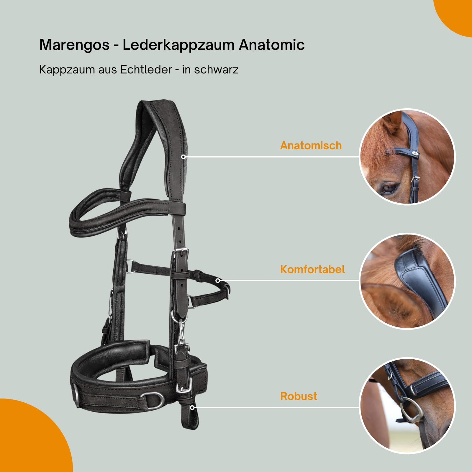 Marengos - Lederkappzaum Anatomic – Kappzaum aus Echtleder – anatomisch & gepolstert – Edelstahl-Beschläge – ideal zum Longieren & Bodenarbeit – braun o. schwarz – Pony, Warm- & Vollblut
