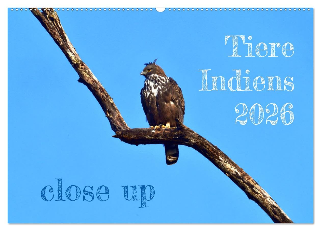 Tiere Indiens close up (Wandkalender 2026 DIN A2 quer), CALVENDO Monatskalender: Auge in Auge mit Wildtieren Indiens