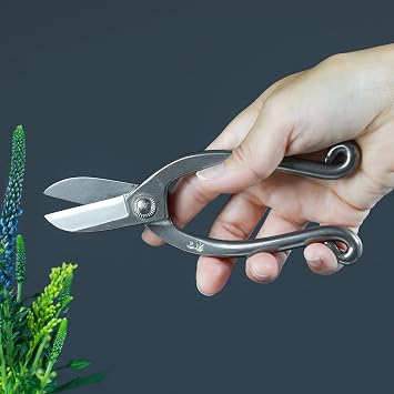 Wazakura Made in Japan Yasugi Stainless Steel Ikenobo Scissors 6.5 (165 mm) Professional Ikebana Floral Tool, Kado Hasami Flower Arrange Shears (Yasugi Stainless Steel Traditional Ikenobo)