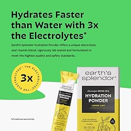Earth\'s Splendor Electrolytes Powder Packets Lemon Lime Hydration Drink Mix Sticks with Essential Vitamins for Energy & Sports Performance | Travel-Friendly Single-Serve Packets for Daily Use 10 Pack