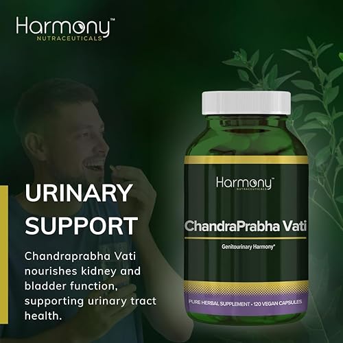 Miniatura 8 de Chandraprabha Vati