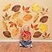 Classroom Cutouts - Fall Leaves - 48 Pieces - Educational and Learning Activities for Kids