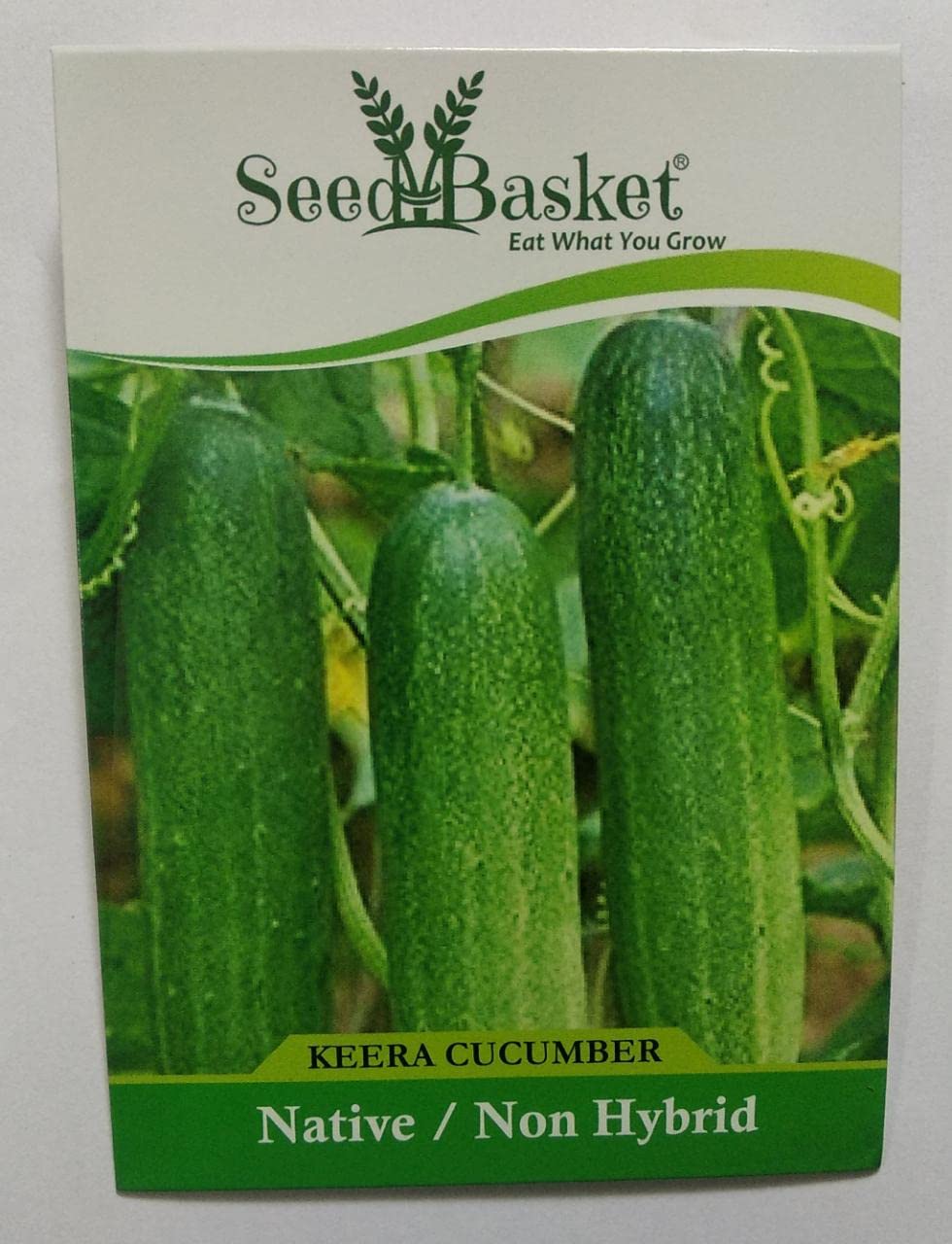 Native Kheera Cucumber seeds for Home gardening(50 Seeds) (Keera) (B09YKP388B) Amazon Price History, Amazon Price Tracker