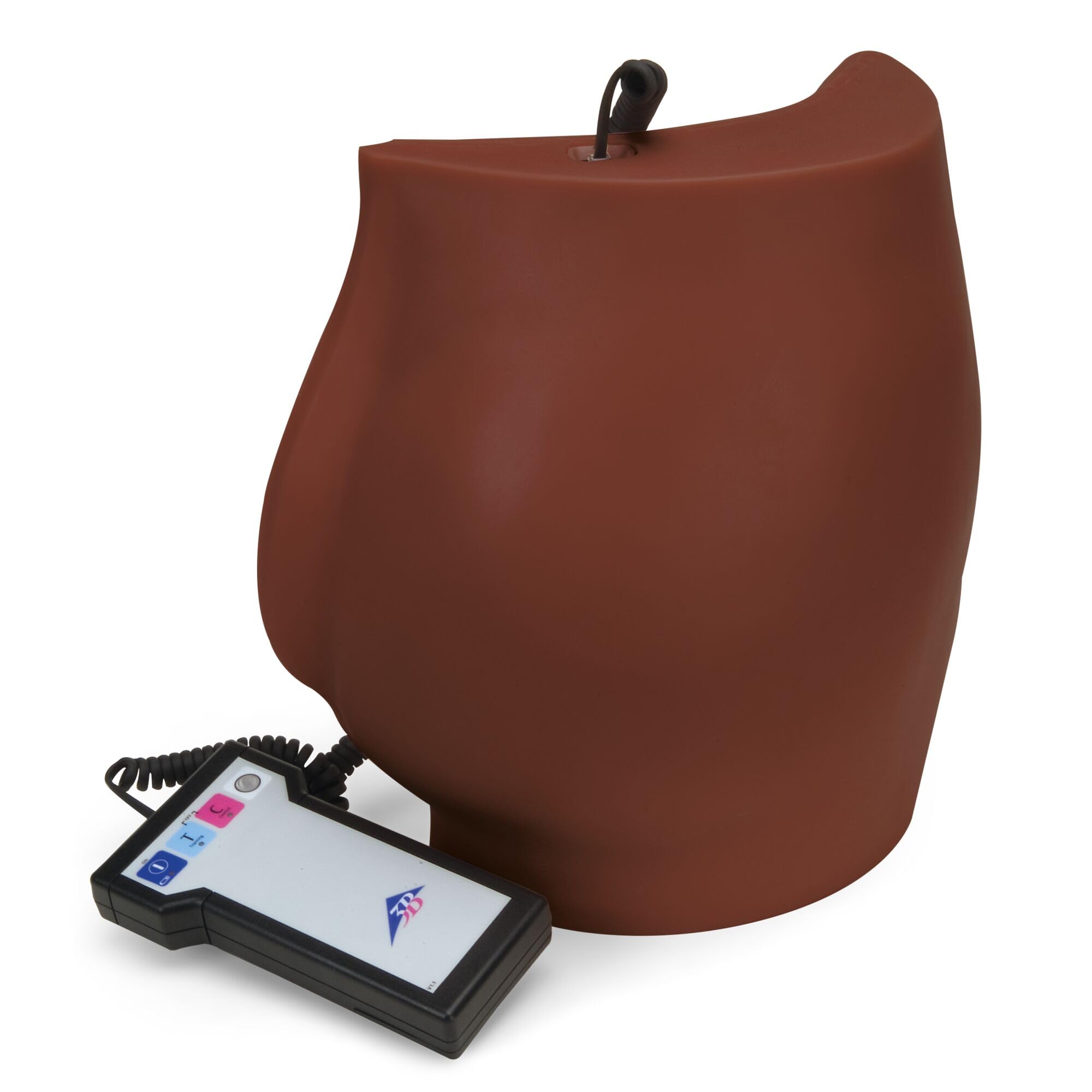 3B Scientific Buttock Injection Simulator P57D – Dark Skin Tone