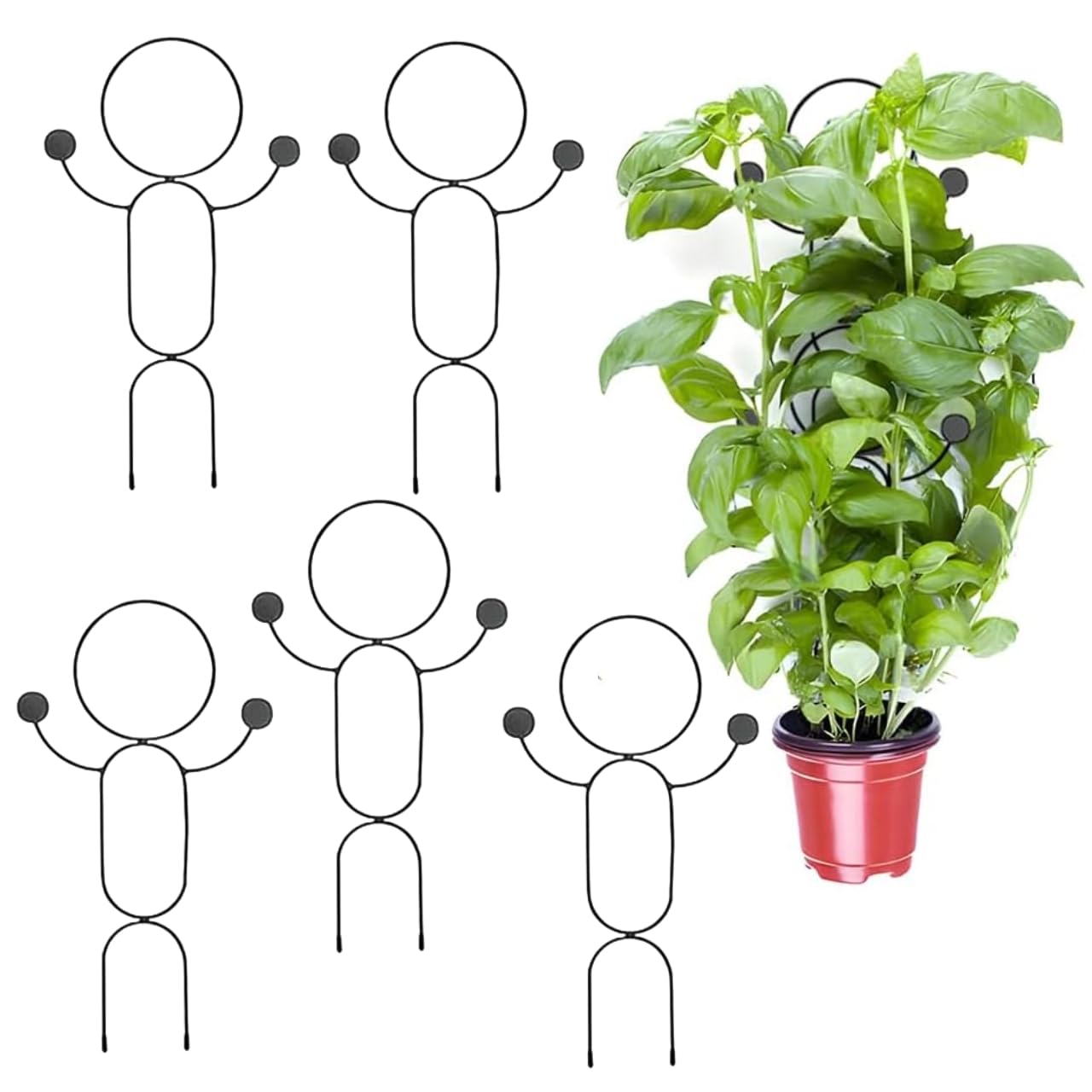 ecofynd Krata do roślin pnących na zewnątrz, kratka ogrodowa do roślin doniczkowych, wsparcie roślin do warzyw, winorośli i kwiatów, do wnętrz, kreatywna kratka dekoracyjna do roślin (5 sztuk, BLK