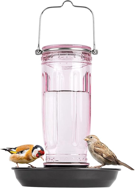 Kingsyard Glass Wild Bird Waterer Water Cooler Bird Feeder