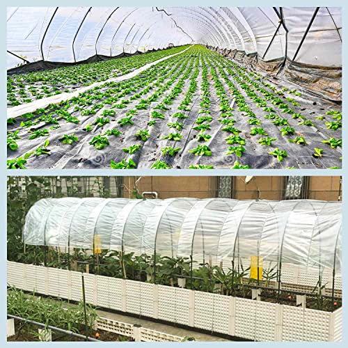 Tianai Greenhouse Film 6 Mil,10X25Ft Clear Greenhouse Polyethylene Film,Uv Resistant,Ideal For Covering A Greenhouse #TOP3