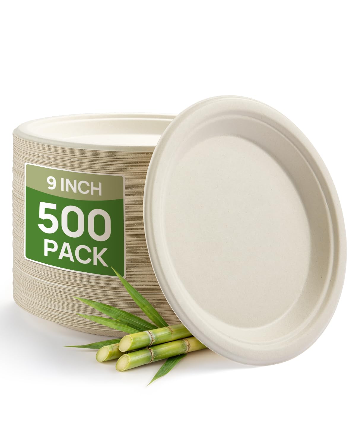 Compostable Sugarcane Plates - 500 Pack -11